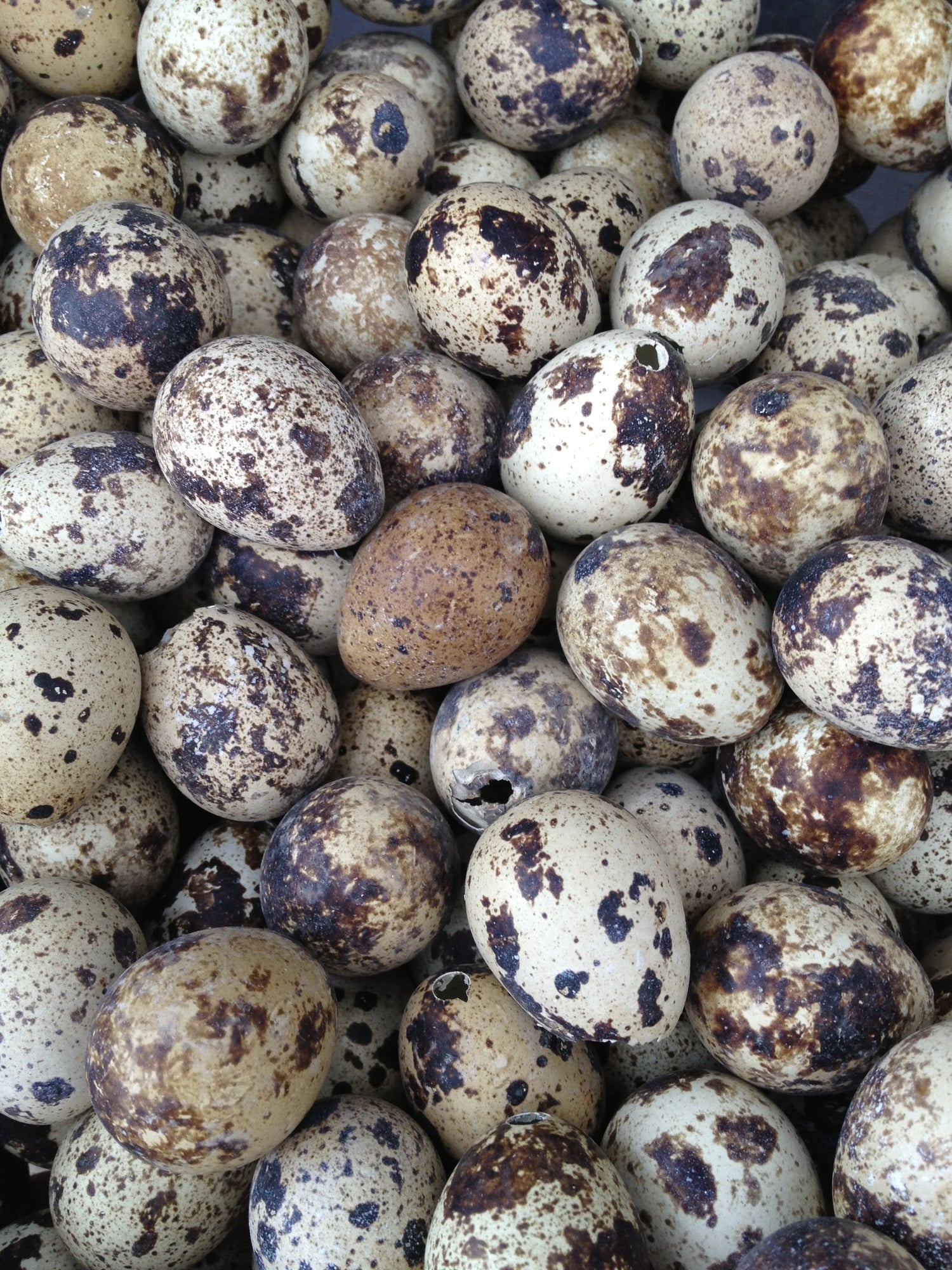 Quail Eggs (18 Pack)